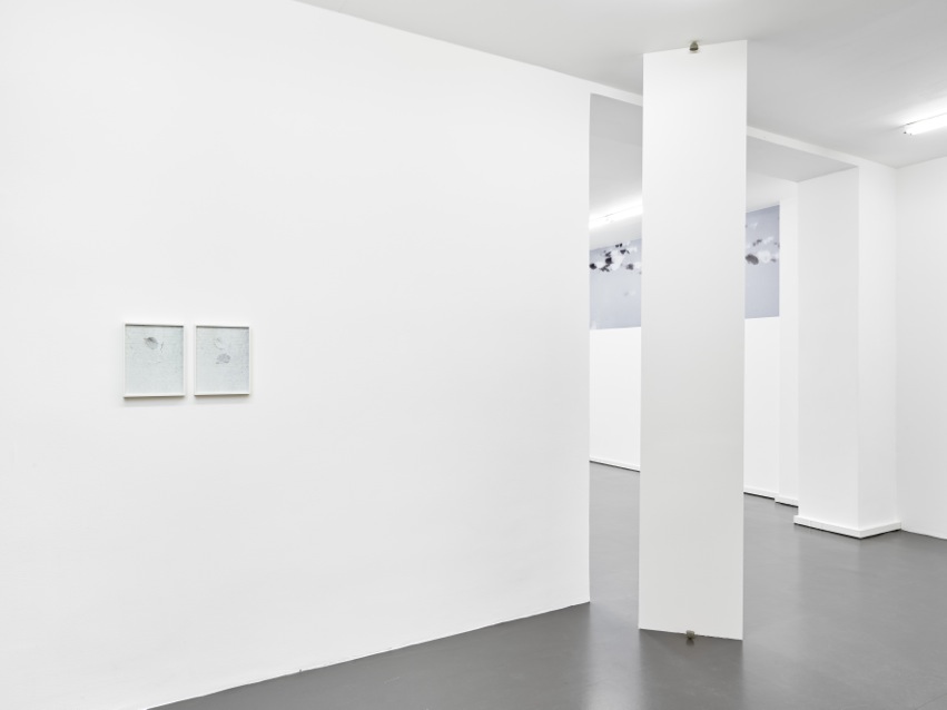 1803 Schwarz Contemporary41647 photo©def_image