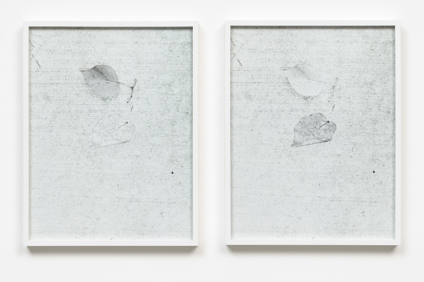 1803 Schwarz Contemporary41786 photo©def_image